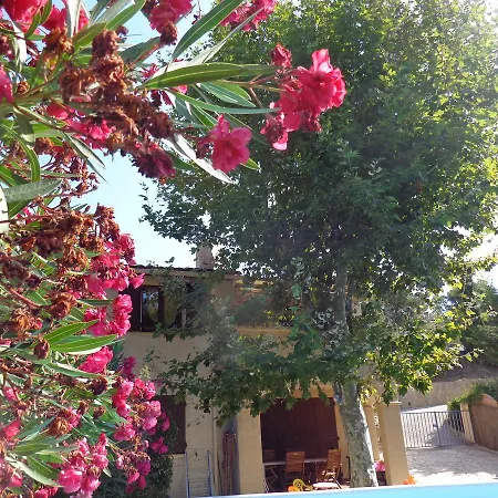 Petra Apartamento *